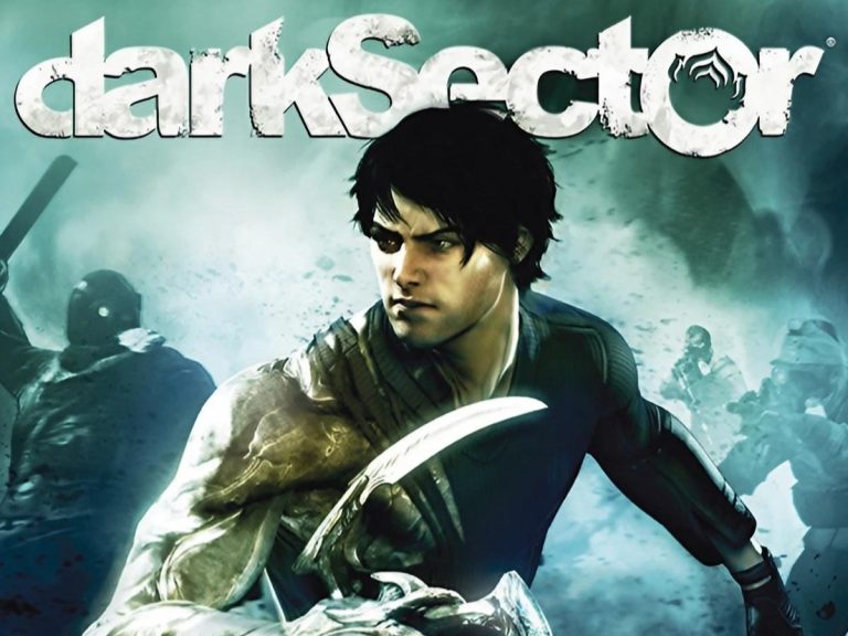Dark Sector