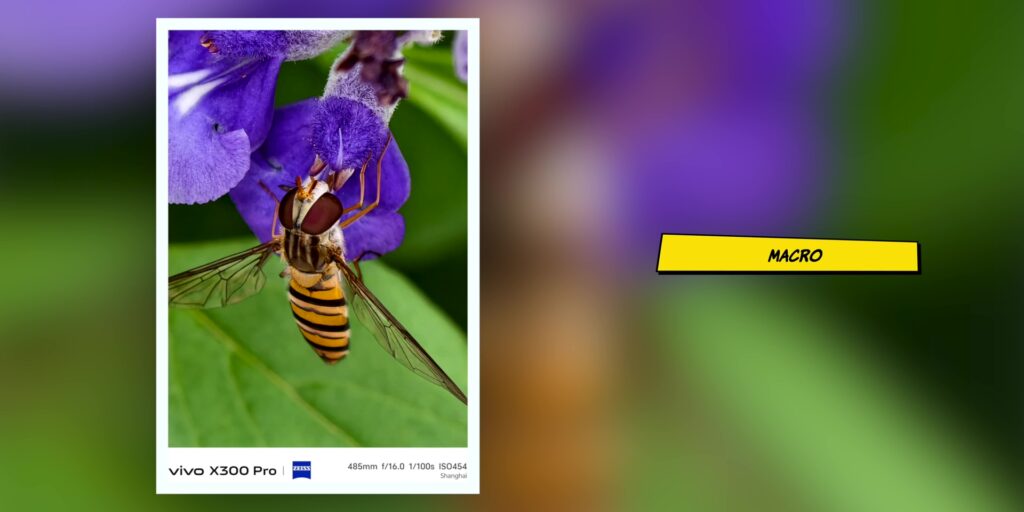 4.5 macro one
