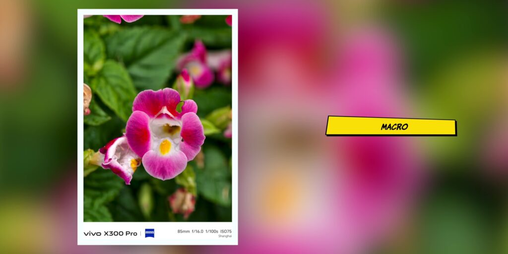 4.6 macro two