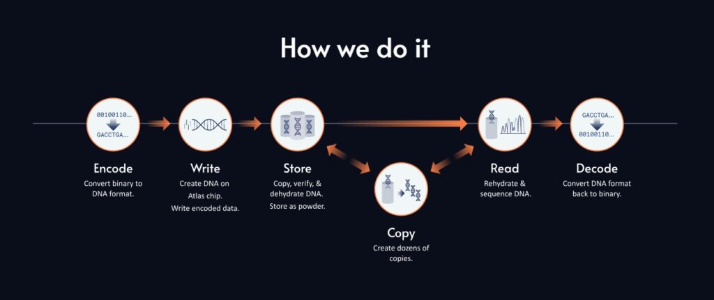 Atlas Data Storage Flow Chart