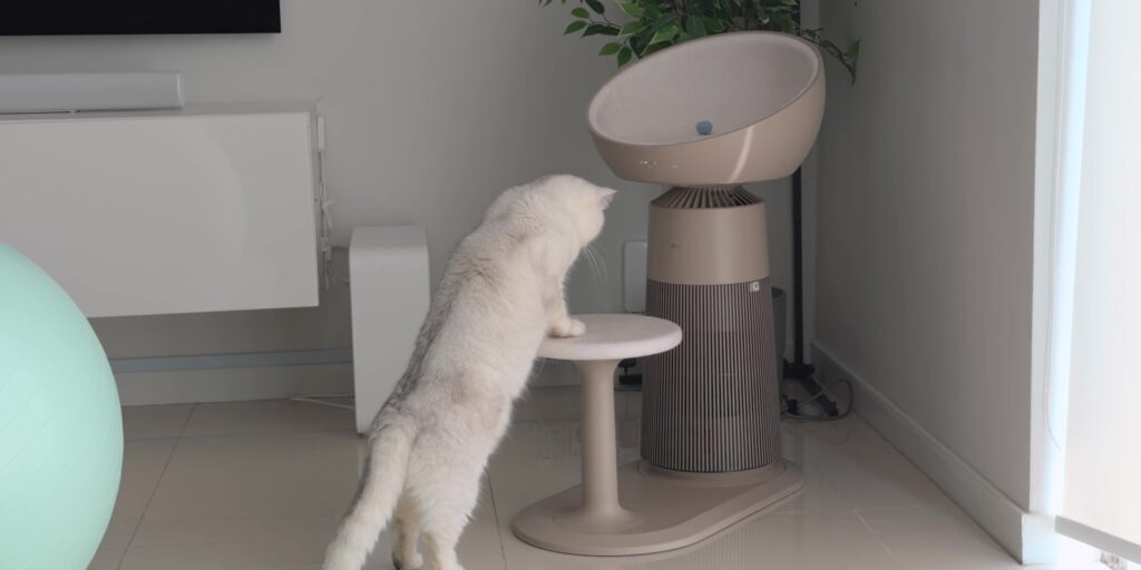LG PuriCare™ AeroCatTower Air Purifier Review: 4-in-1 Solution! 6 2.1 step platform