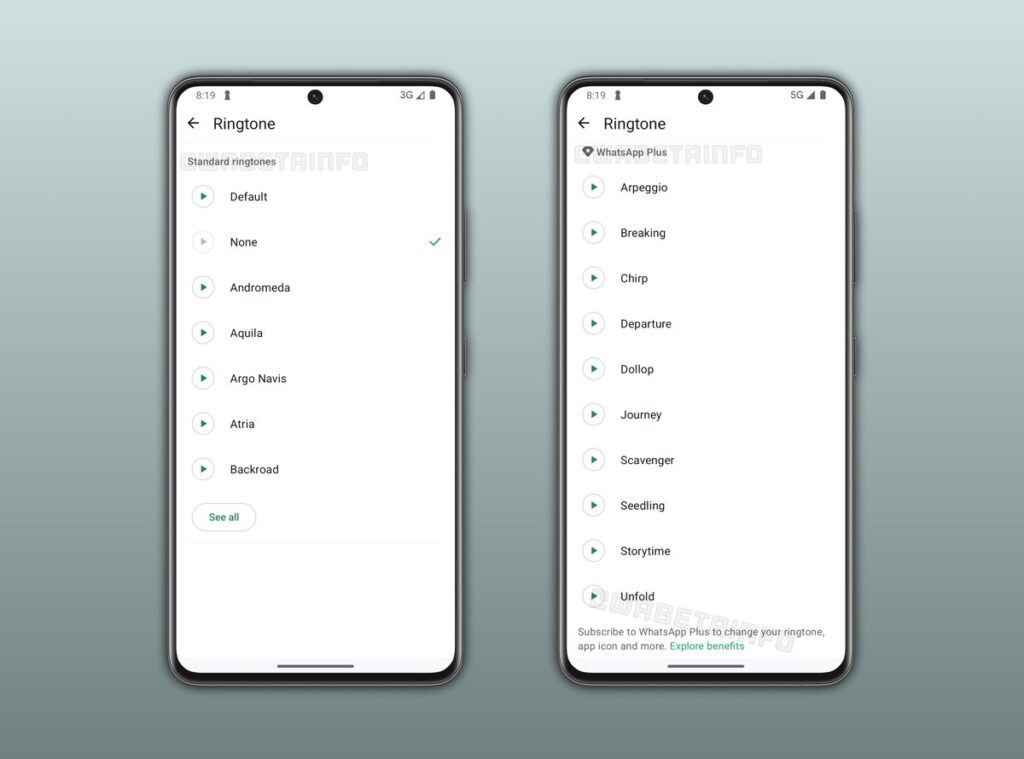 whatsapp plus subscription 2