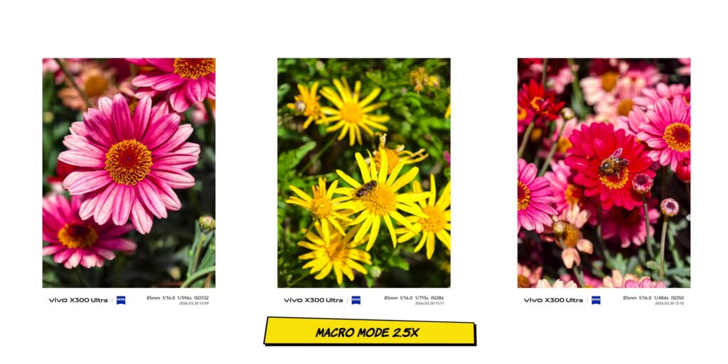 Close-up macro photography sample at 2x and 6x magnification using the vivo X300 Ultra 2.5x