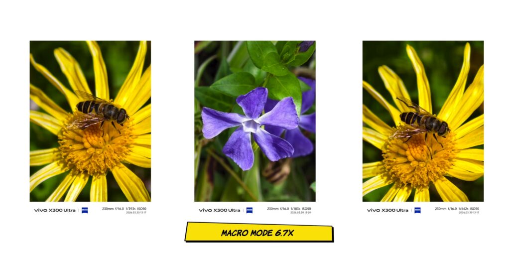 Close-up macro photography sample at 2x and 6x magnification using the vivo X300 Ultra 6.7x