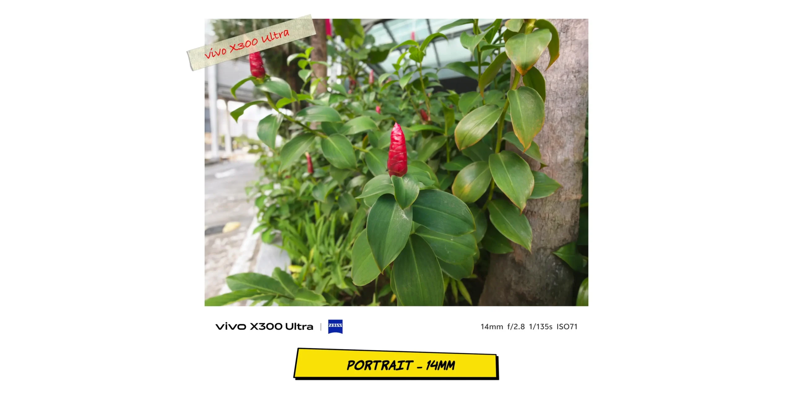 vivo X300 Ultra vs OPPO Find X9 Ultra: Camera Comparison 21 Environmental ultra-wide portrait sample at 14mm showing subject distortion control.