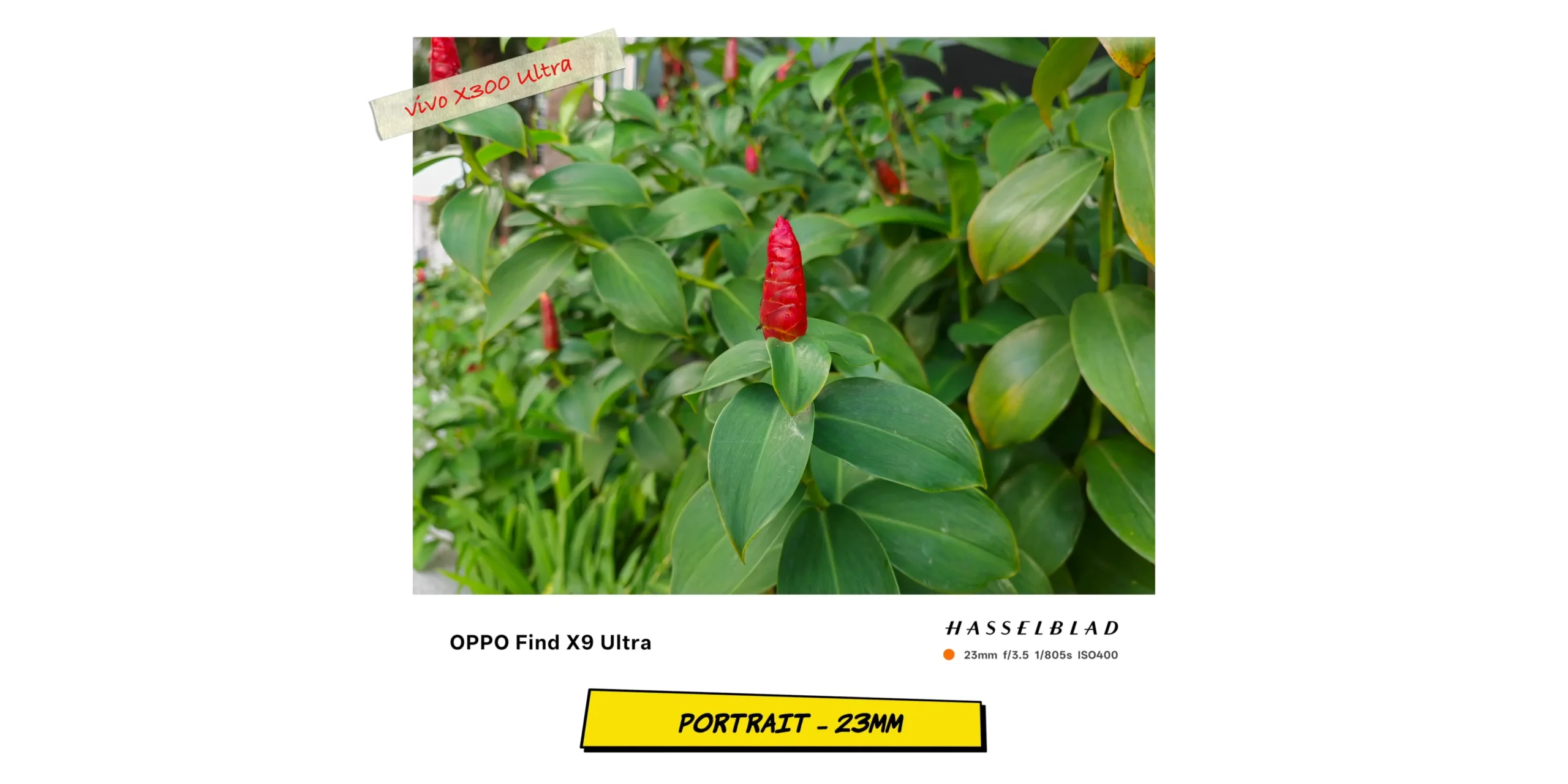 vivo X300 Ultra vs OPPO Find X9 Ultra: Camera Comparison 22 Standard wide portrait sample at 23mm testing regular main sensor background separation.