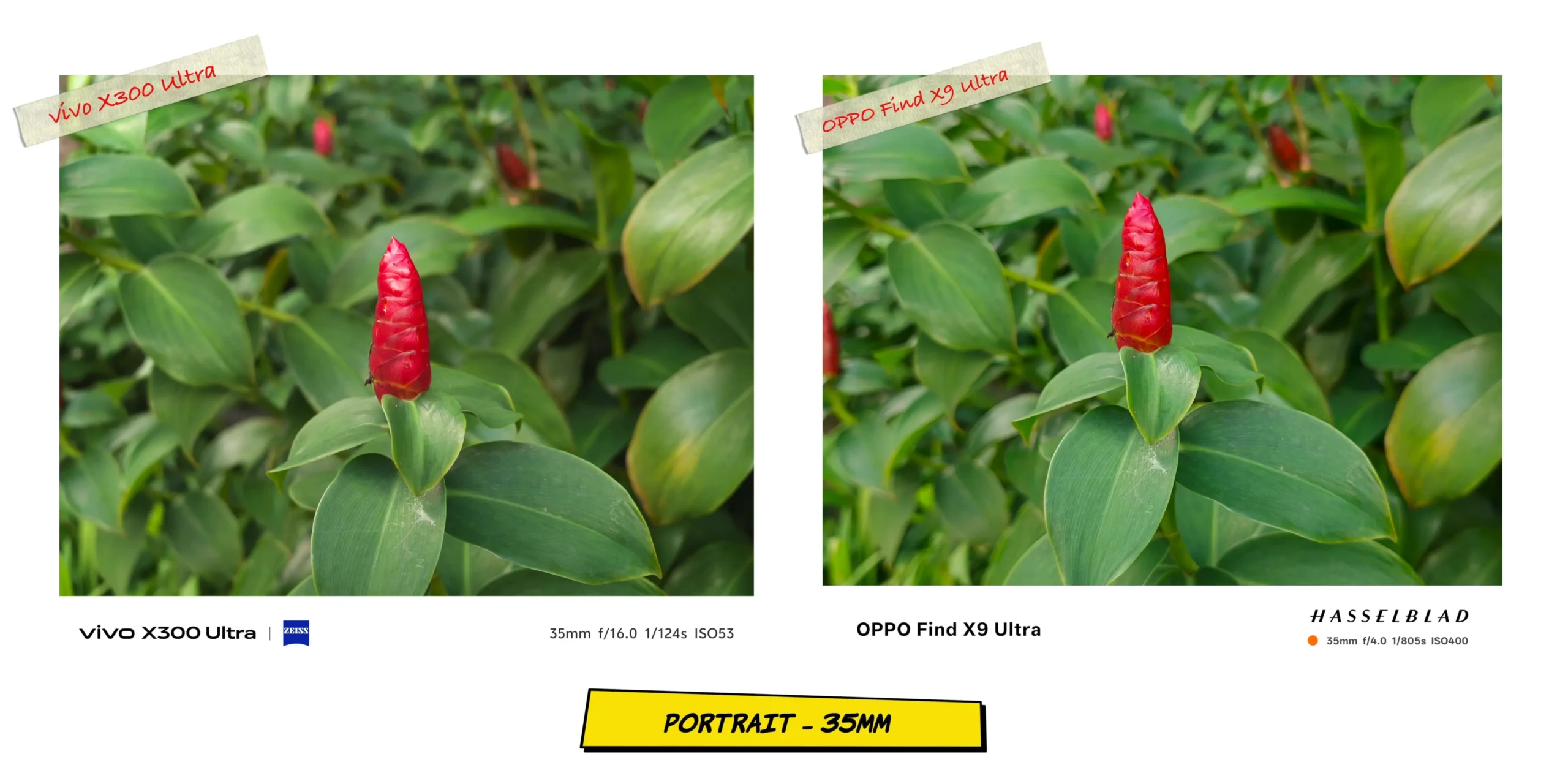 vivo X300 Ultra vs OPPO Find X9 Ultra: Camera Comparison 23 Secondary portrait mode comparison at 35mm in different lighting conditions.