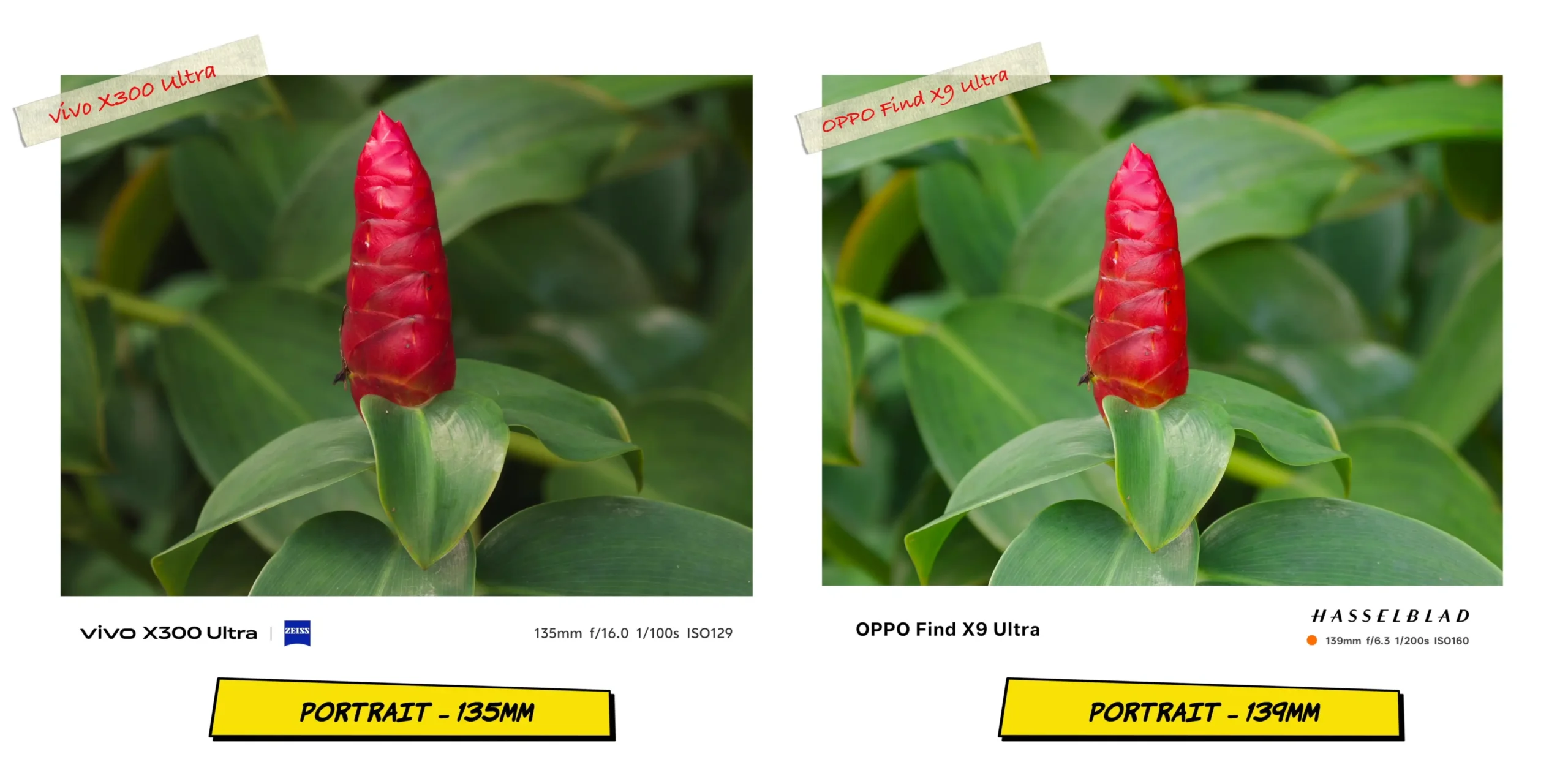 vivo X300 Ultra vs OPPO Find X9 Ultra: Camera Comparison 24 Telephoto portrait sample at 135mm testing compression and bokeh quality behind the subject.