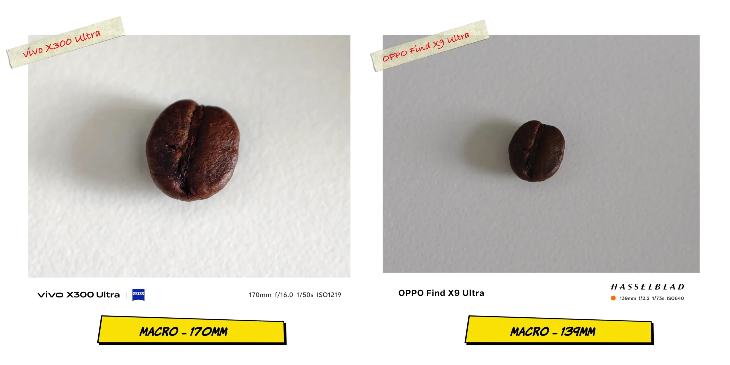 vivo X300 Ultra vs OPPO Find X9 Ultra: Camera Comparison 32 Macro test at 170mm showing the bokeh and fallback capabilities of the telephoto lens system.