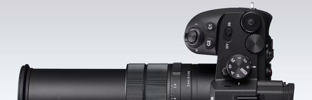 Sony RX10 V right grip